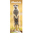 Avonside Calendario Meerkats 2025 Slimline