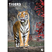 CalendarsRUs Tiger A3 Calendar 2025