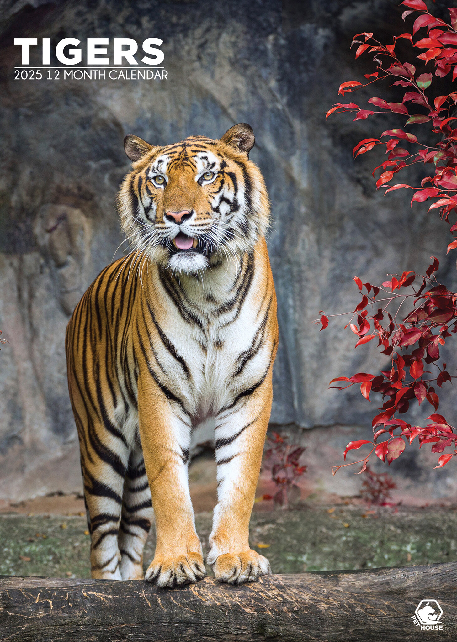Tiger A3 Calendar 2025 Order easily and quickly Online. Kalenderwinkel.nl