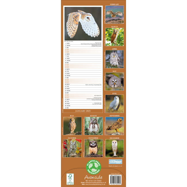 Buying Owls Calendar 2025 Slimline simply order online