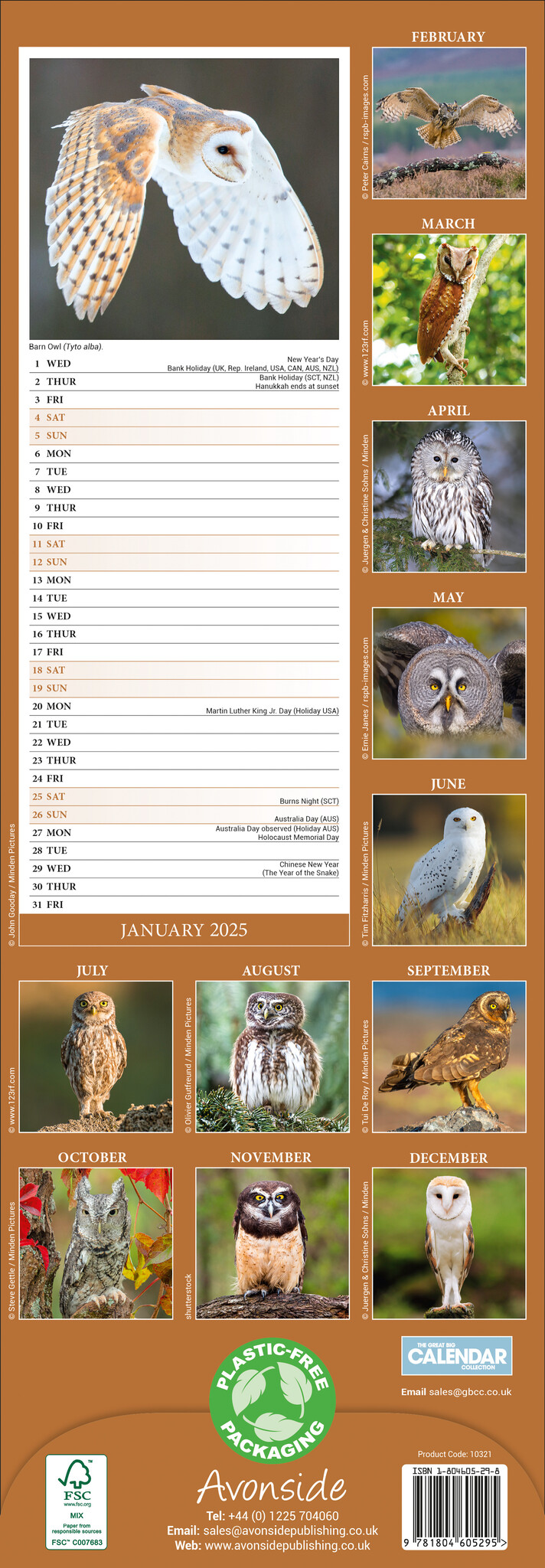 Buying Owls Calendar 2025 Slimline simply order online