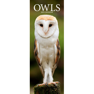 Avonside Owls Calendar 2025 Slimline