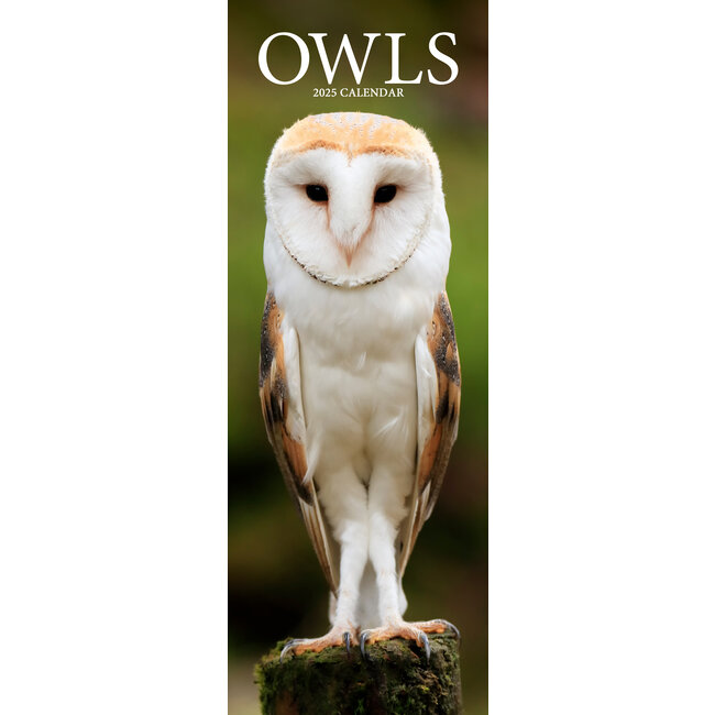 Buying Owls Calendar 2025 Slimline simply order online