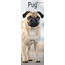 Avonside Calendario Pug 2025 Slimline