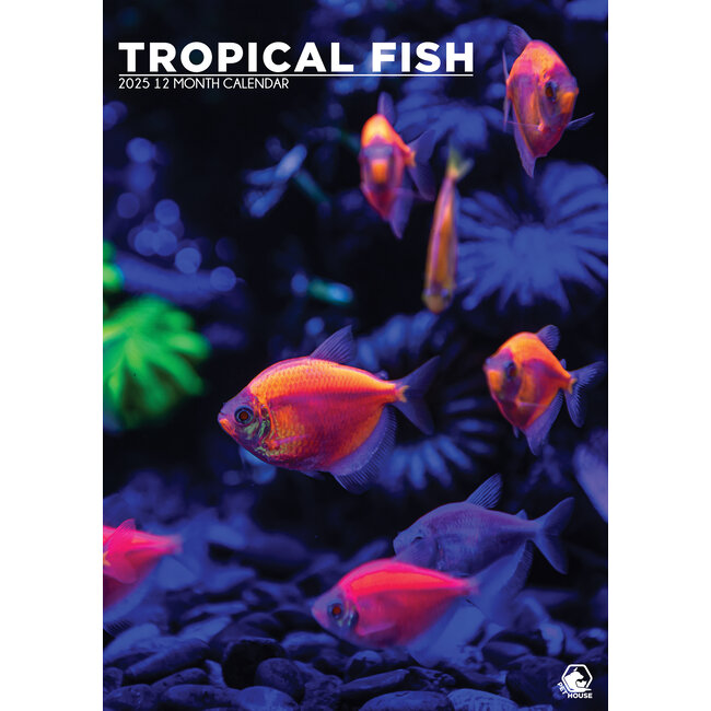 Calendario A3 dei pesci tropicali 2025