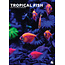 CalendarsRUs Poissons tropicaux Calendrier A3 2025