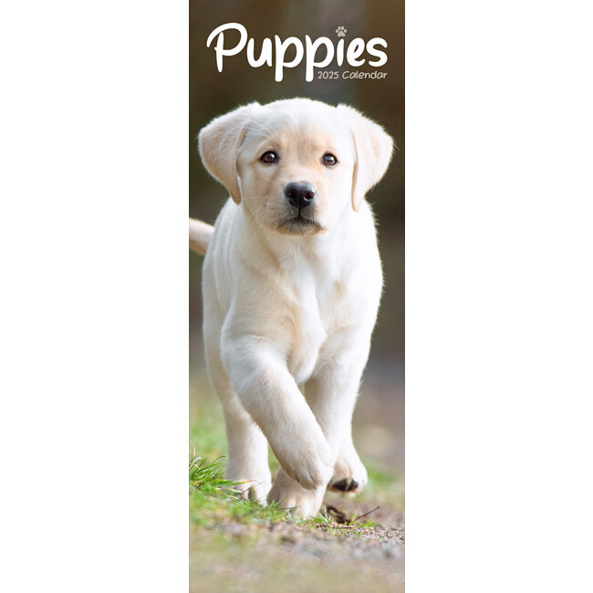 Avonside Puppies Kalender 2025 Slimline