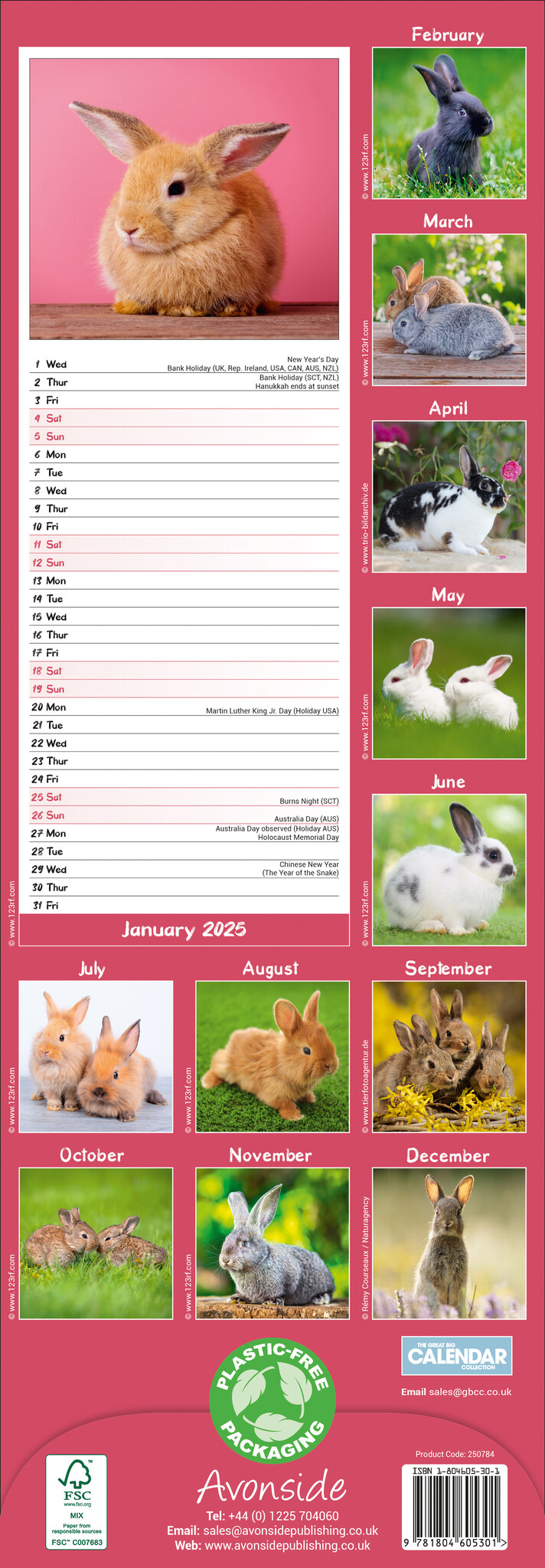 Buy Rabbits Calendar 2025 Slimline order online easily