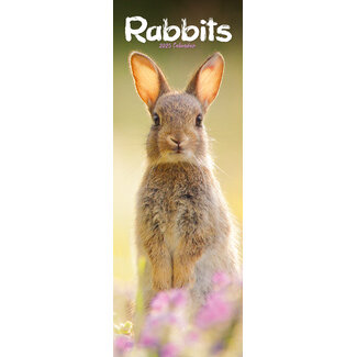 Avonside Rabbits Calendar 2025 Slimline