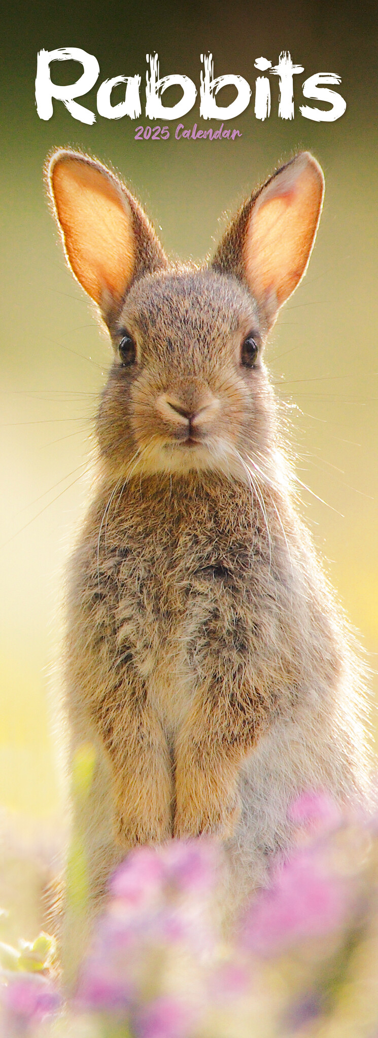 Buy Rabbits Calendar 2025 Slimline order online easily