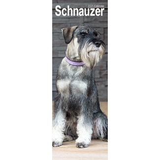 Avonside Calendario Schnauzer 2025 Slimline