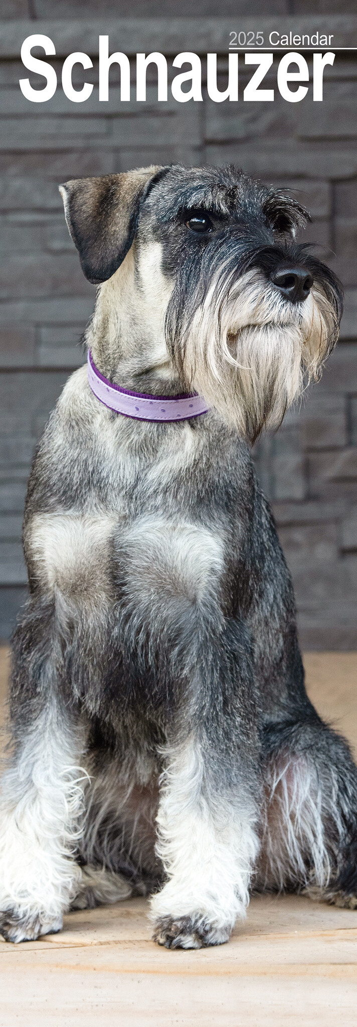 Buy Schnauzer Calendar 2025 Slimline simply order online