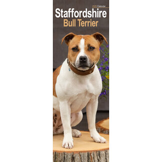 Avonside Staffordshire Bull Terrier Calendario 2025 Slimline