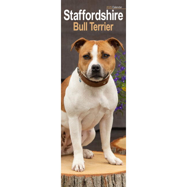 Calendario Staffordshire Bull Terrier 2025 Slimline