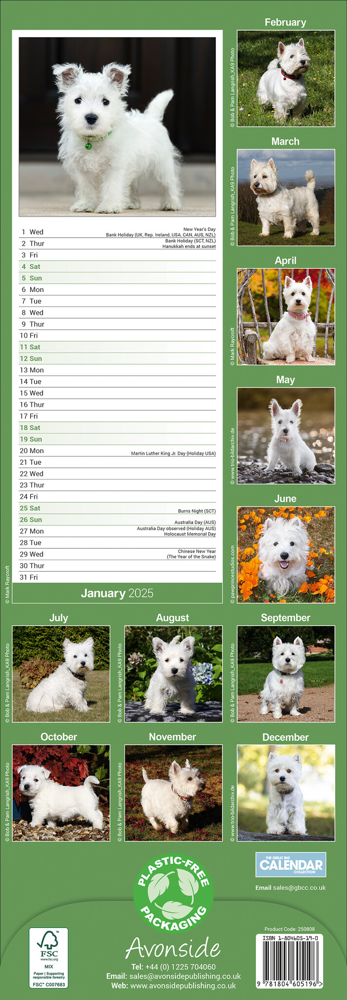 West Highland White Terrier Kalender 2025 Slimline Kopen? Bestel een Kalenderwinkel.nl