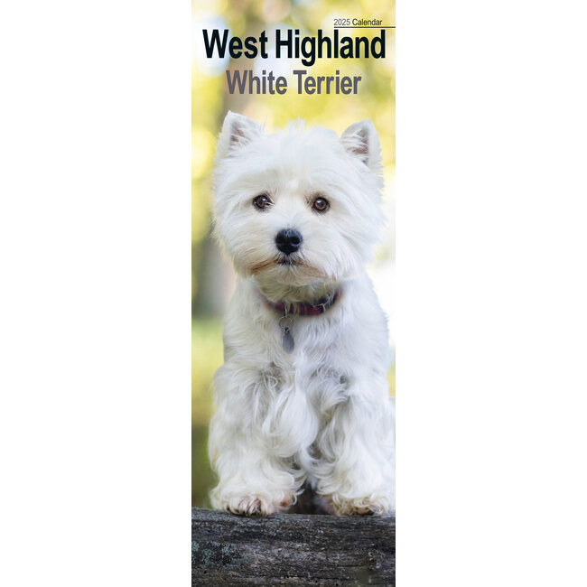 West Highland White Terrier Calendrier 2025 Slimline