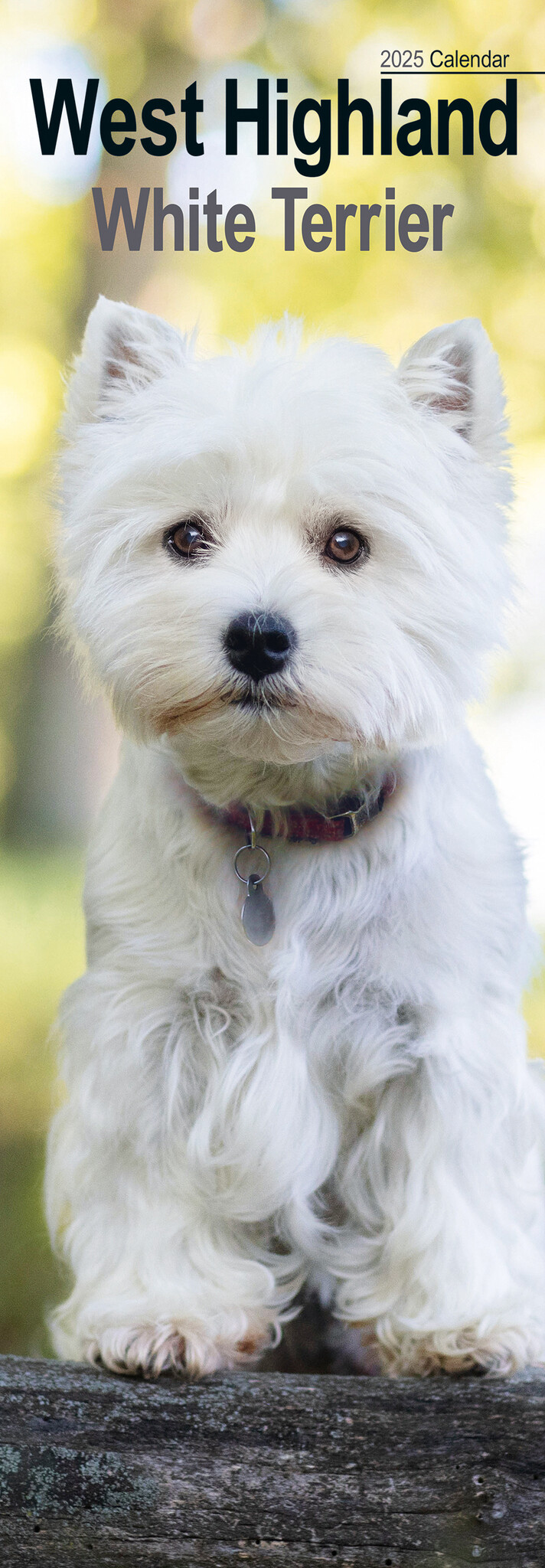 West Highland White Terrier Kalender 2025 Slimline