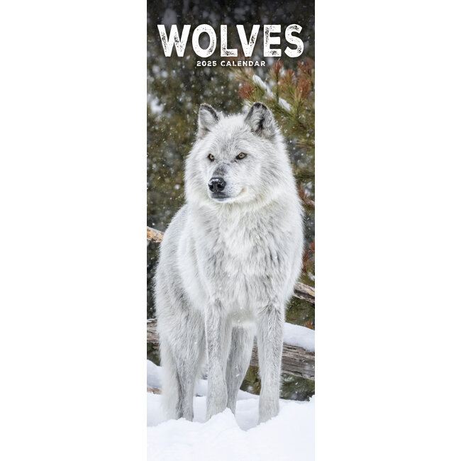 Calendrier des loups 2025 Slimline