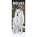 Avonside Calendario Wolves 2025 Slimline