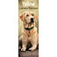 Avonside Calendario Labrador Retriever Biondo 2025 Slimline