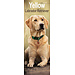 Avonside Calendario Labrador Retriever Rubio 2025 Slimline