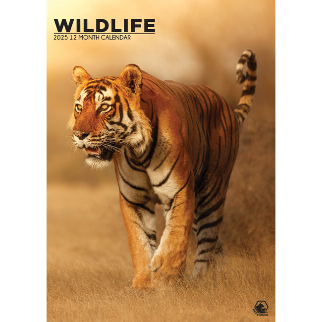 Wildlife A3 Calendar 2025