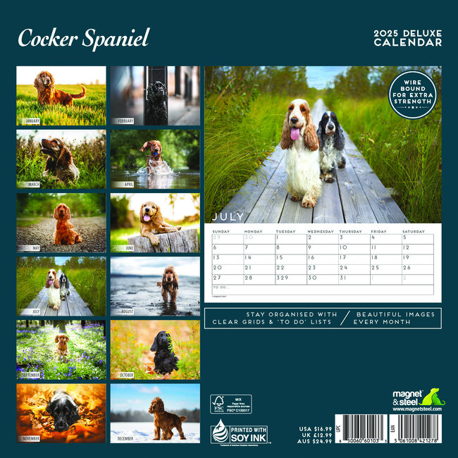 Buy English Cocker Spaniel Calendar 2025 Deluxe? Order easily