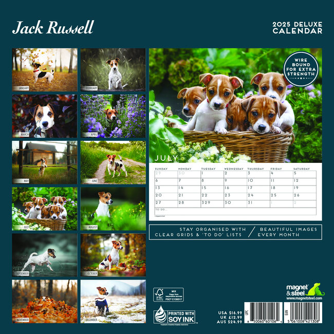 Jack Russell Terrier Calendar 2025 Buy Order easily online