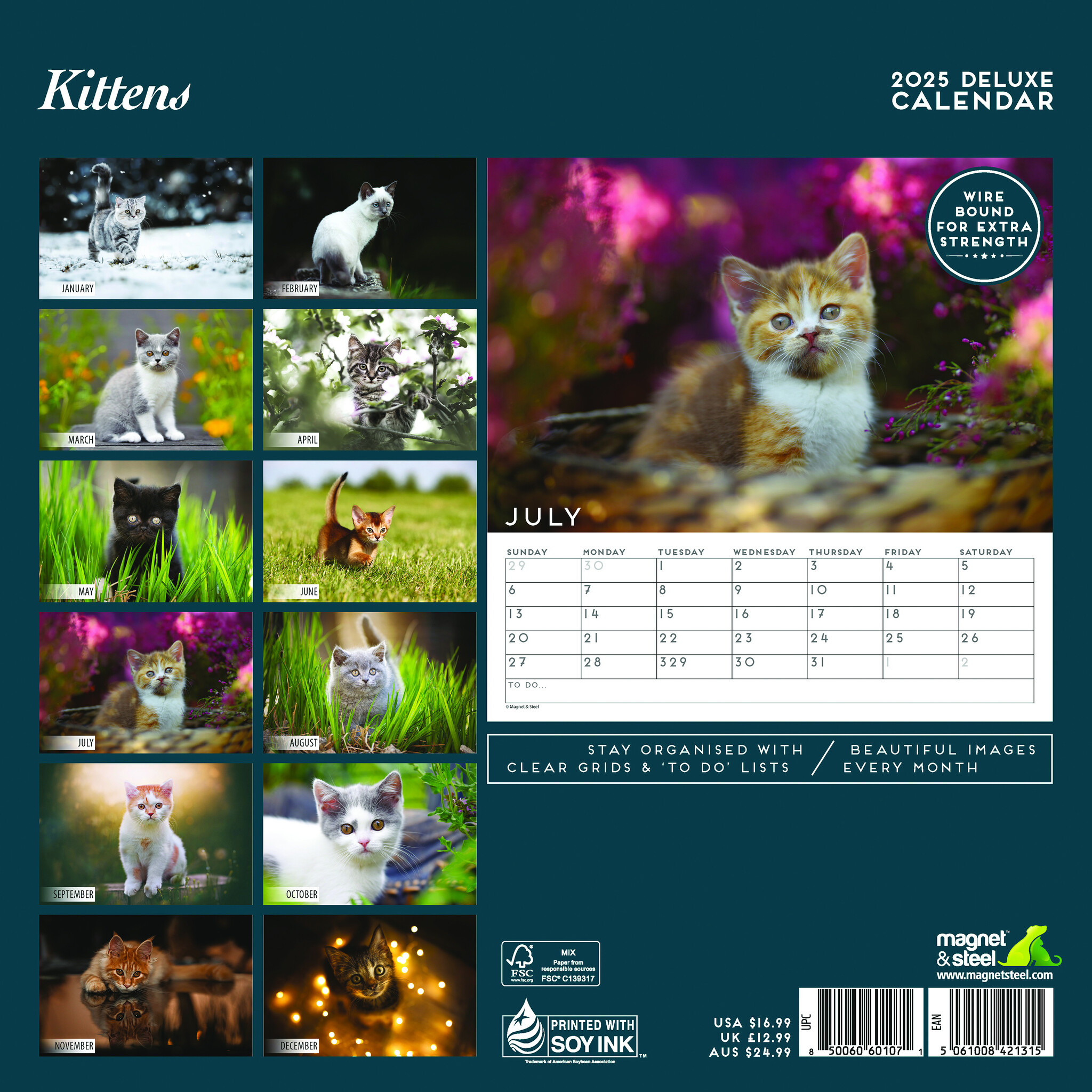 Buy Kittens Calendar 2025 Deluxe Order easily online Kalenderwinkel.nl