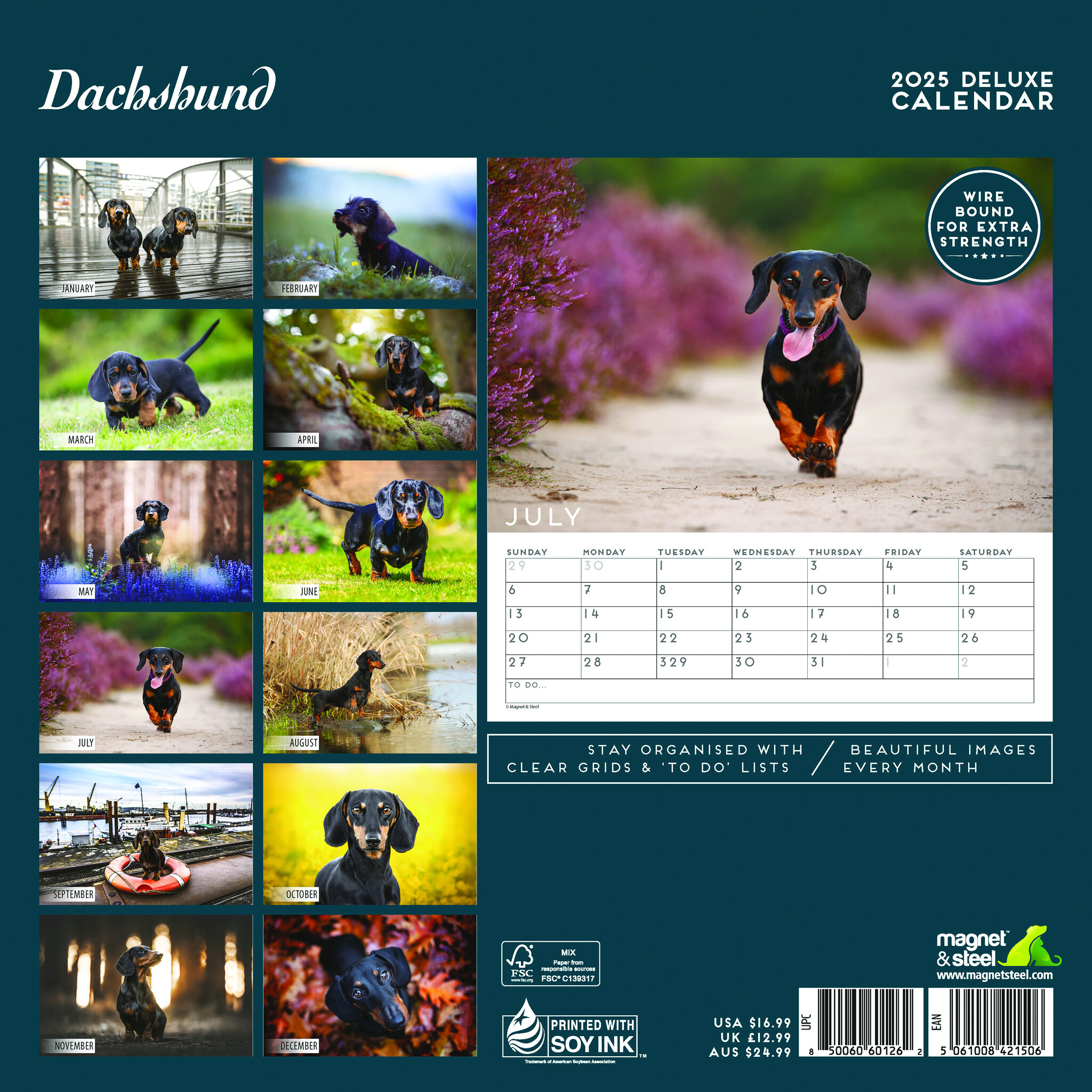 Dachshund Calendar 2025 Deluxe Buy? Order online quickly and easily