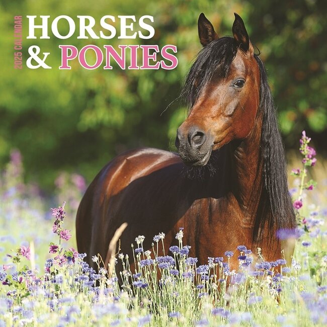 Horses Calendar 2025