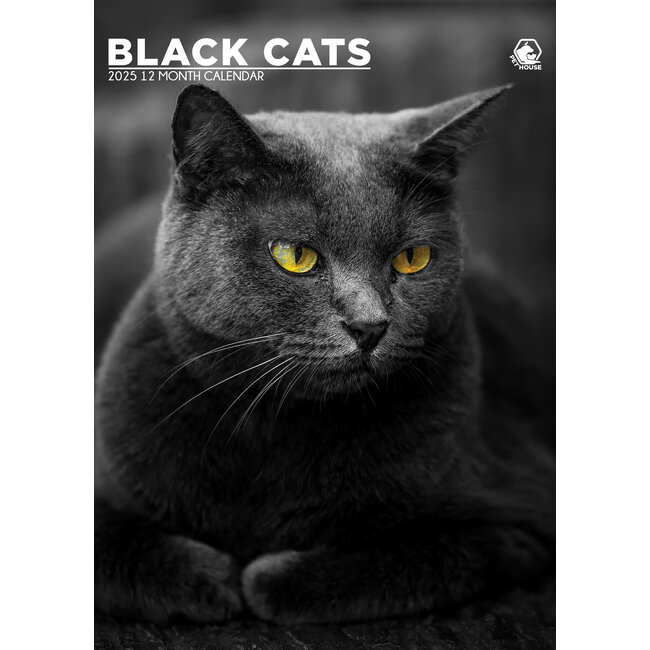 Black Cats A3 Calendar 2025