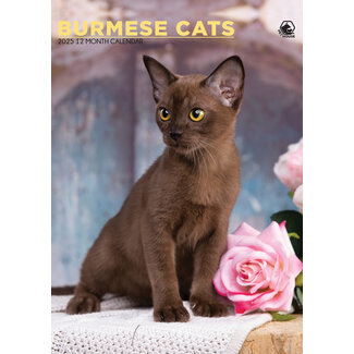 CalendarsRUs Calendrier birman A3 2025