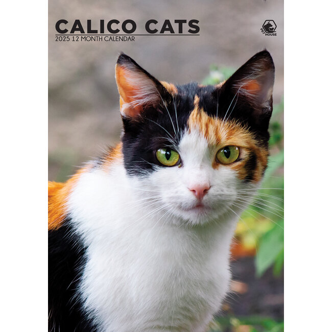 Calico Cats A3 Calendar 2025