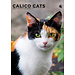 CalendarsRUs Calico Cats A3 Calendar 2025