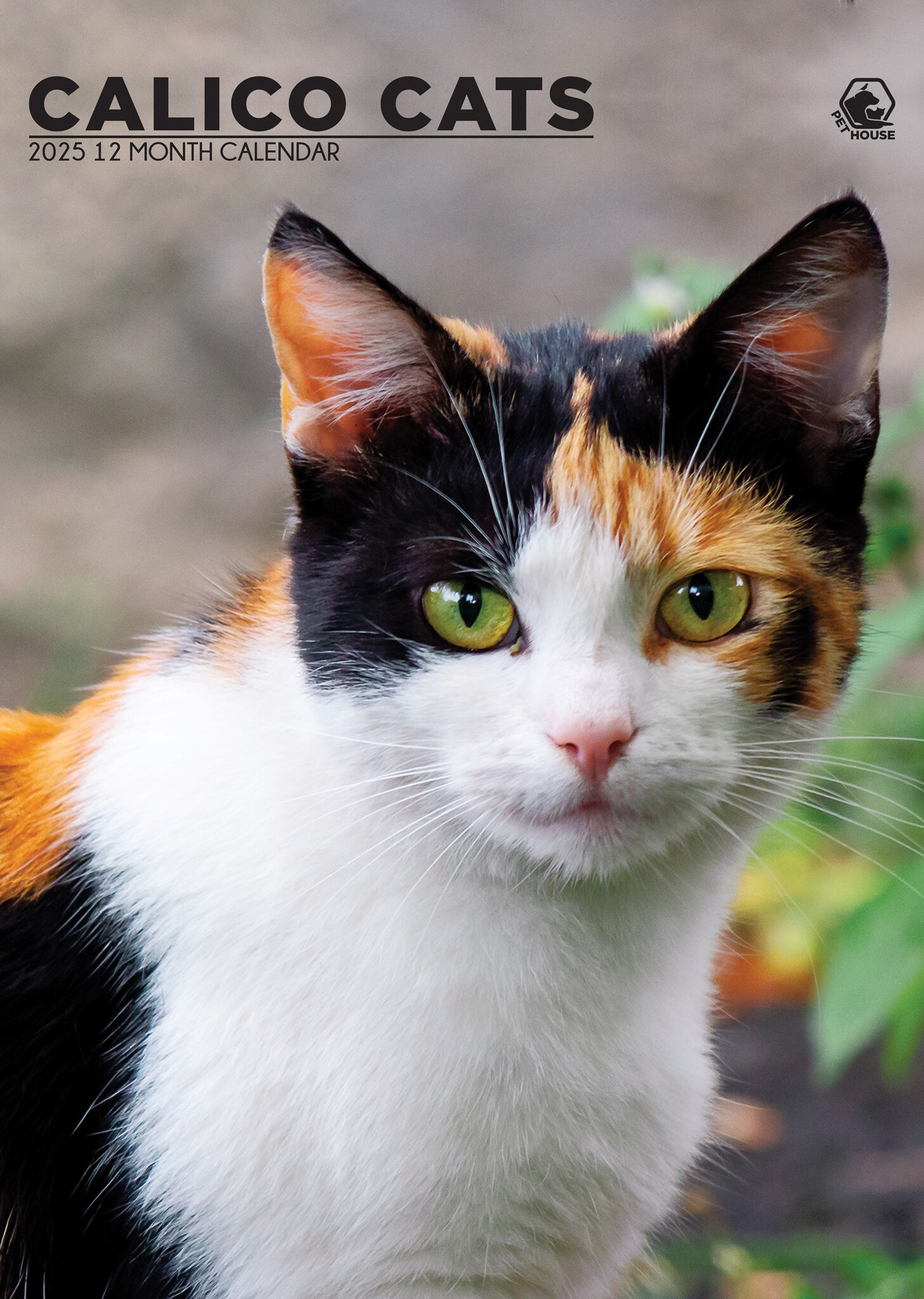Calico Katten A3 Kalender 2025