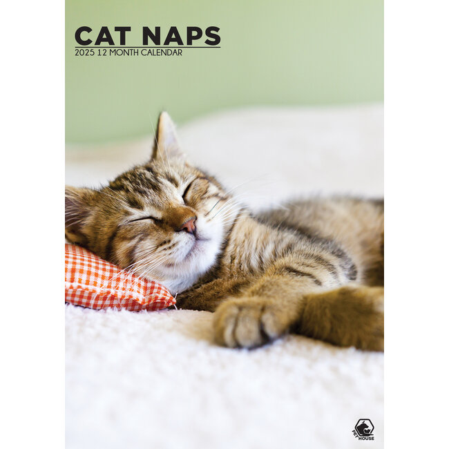 Cat Naps A3 Kalendar 2025