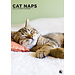 CalendarsRUs Cat Naps A3 Kalendar 2025