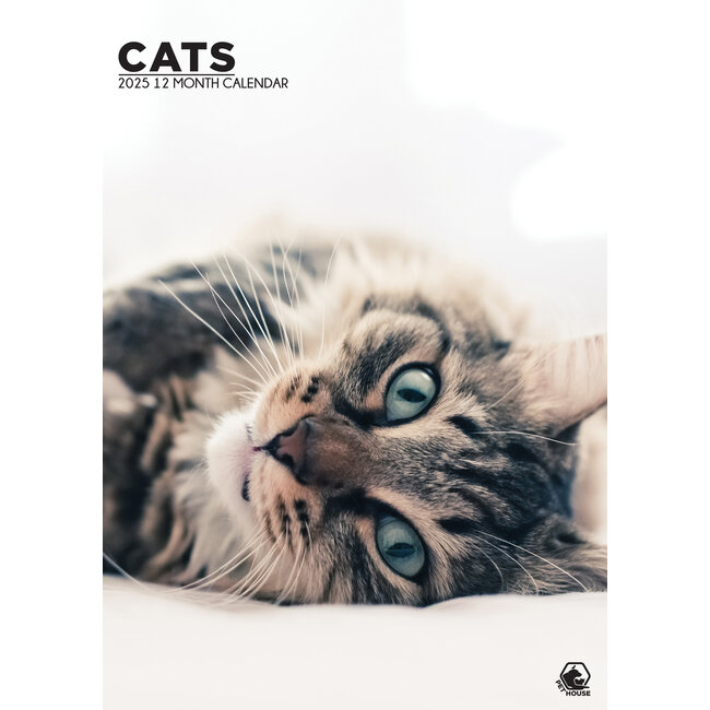 Chats Calendrier A3 2025
