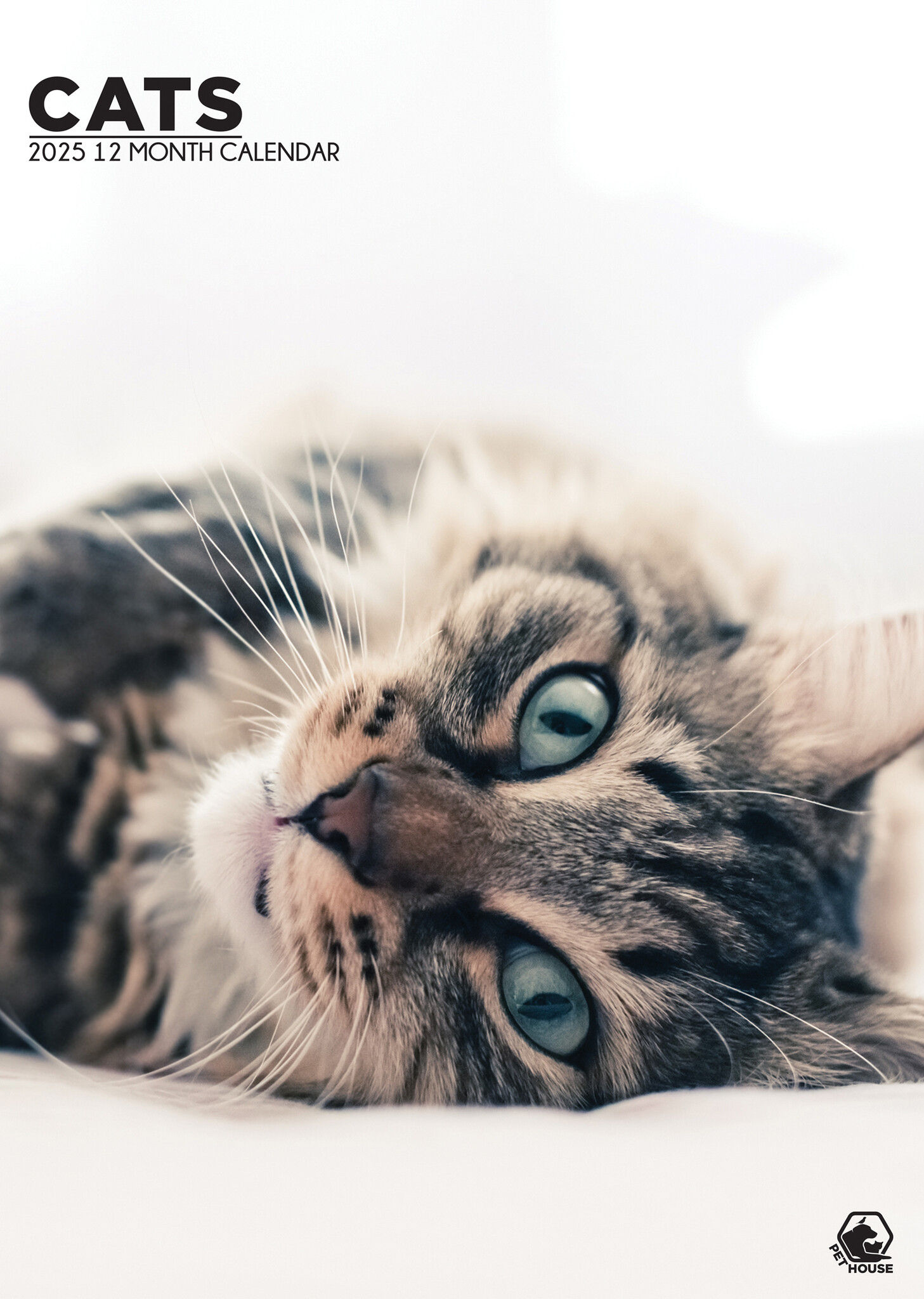 Cats A3 Kalender 2025? Einfach und schnell online bestellen