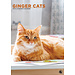 CalendarsRUs Calendario del gatto rosso 2025