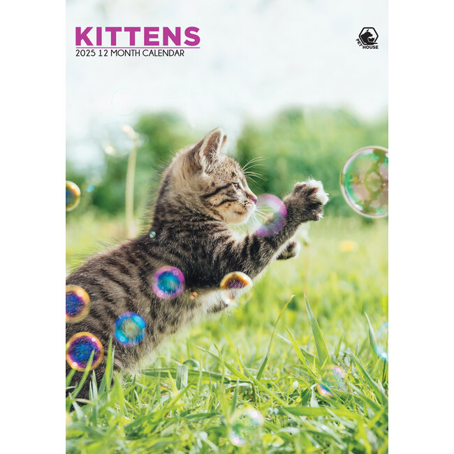 CalendarsRUs Calendrier des chatons 2025