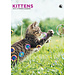 CalendarsRUs Kittens Calendar 2025