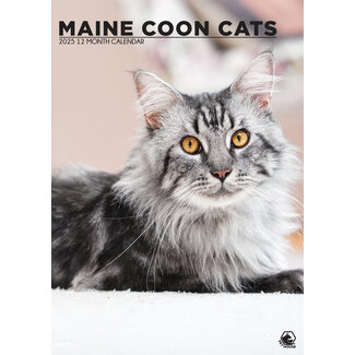 CalendarsRUs Maine Coon Calendar 2025