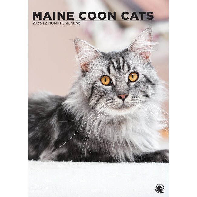 Maine Coon Calendar 2025