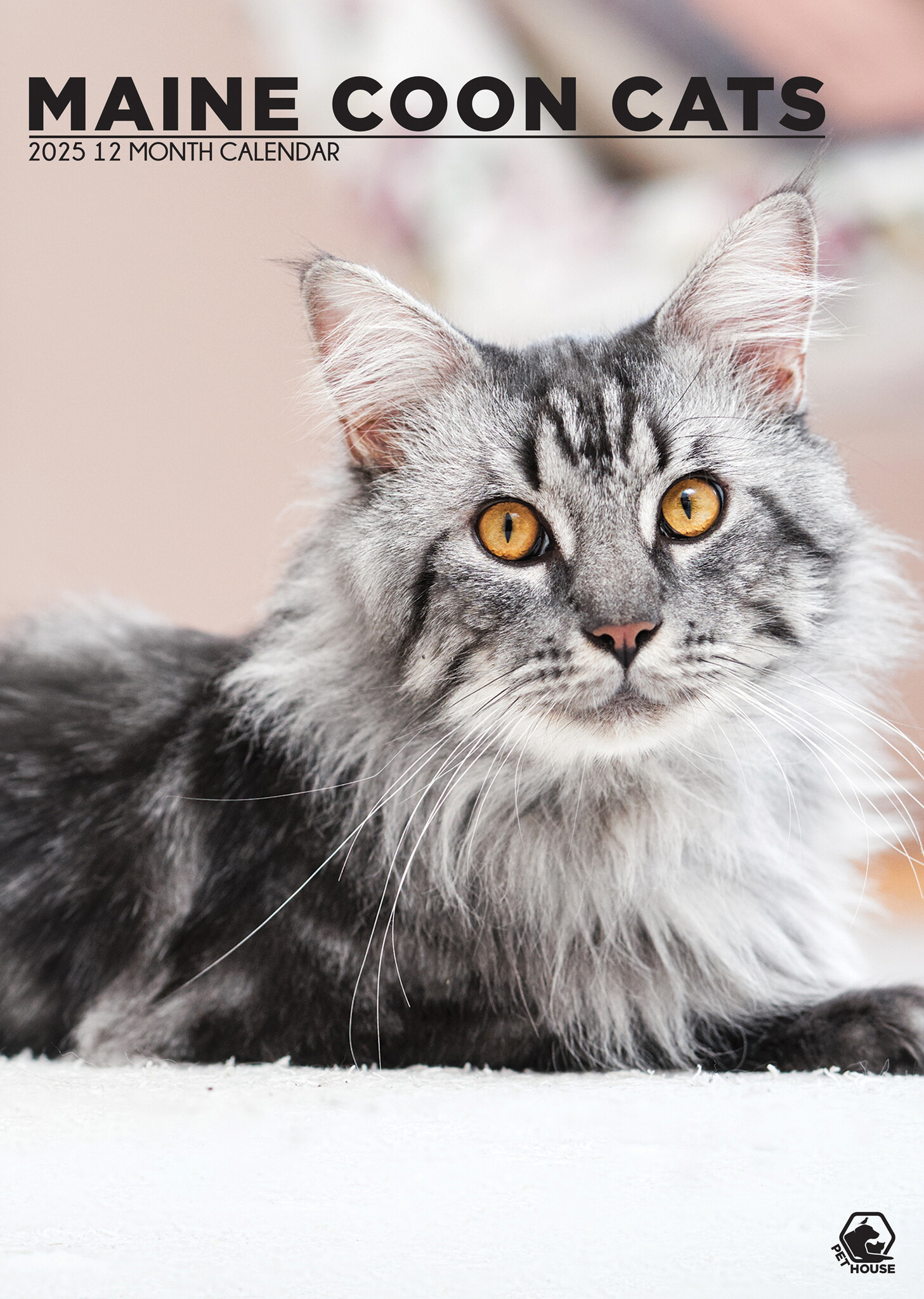 Maine Coon Kalender 2025? Einfach und schnell online bestellen