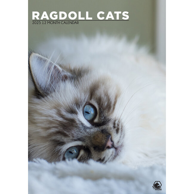 Ragdoll Kalender 2025? Bestel eenvoudig en snel Online. Kalenderwinkel.nl