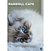 CalendarsRUs Ragdoll Kalender 2025