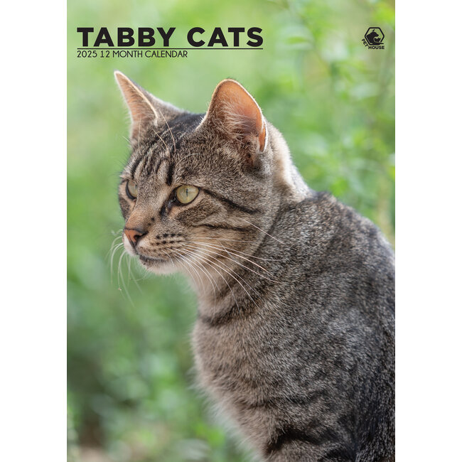 Calendrier Tabby 2025