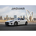 CalendarsRUs Jaguar Calendar 2025
